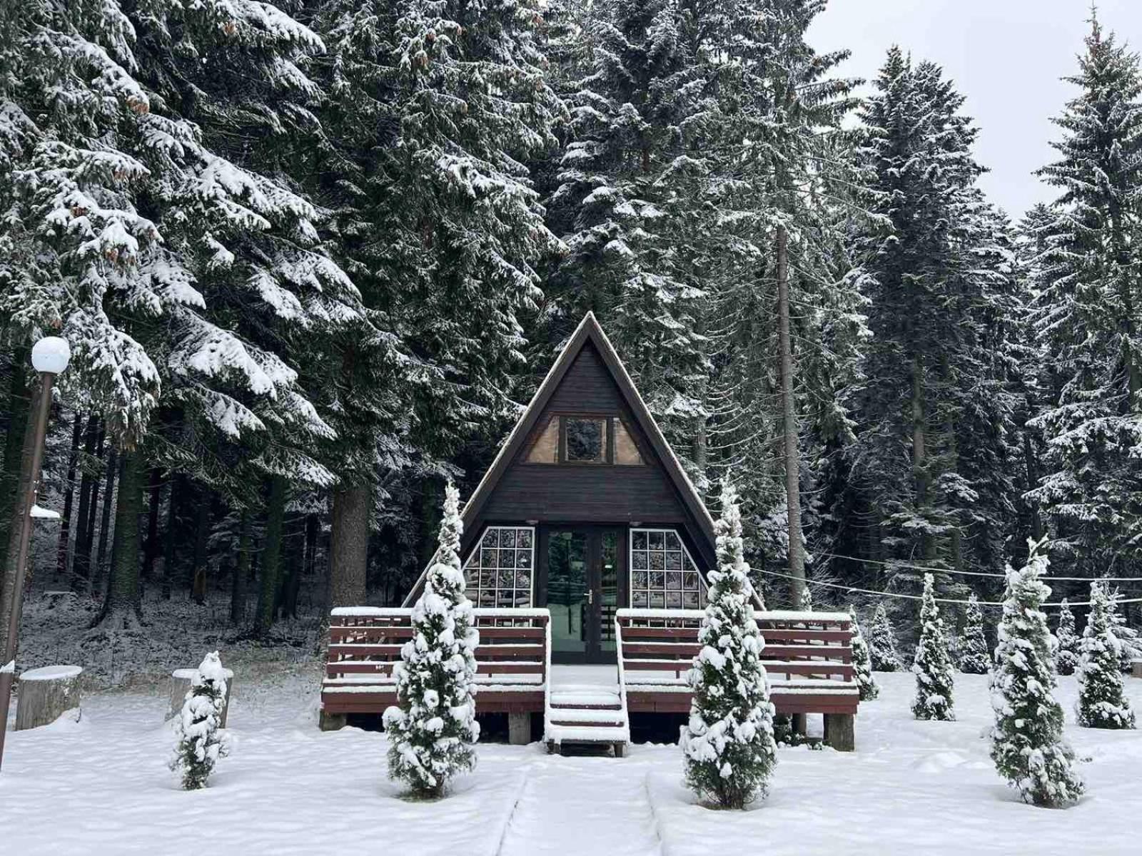 Villas Mura With Spa & Hot Swimming Pool Borovets Eksteriør billede