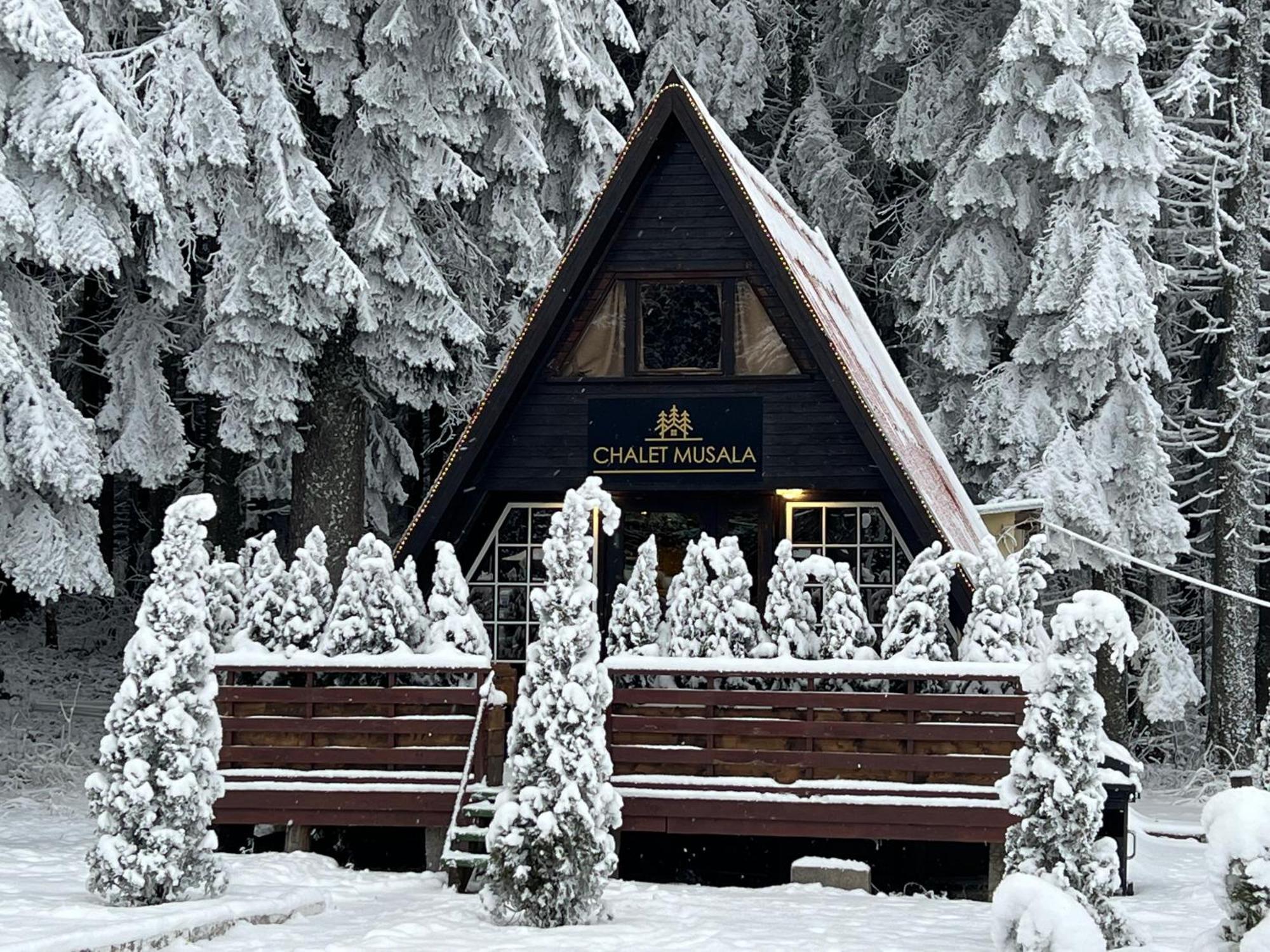 Villas Mura With Spa & Hot Swimming Pool Borovets Eksteriør billede